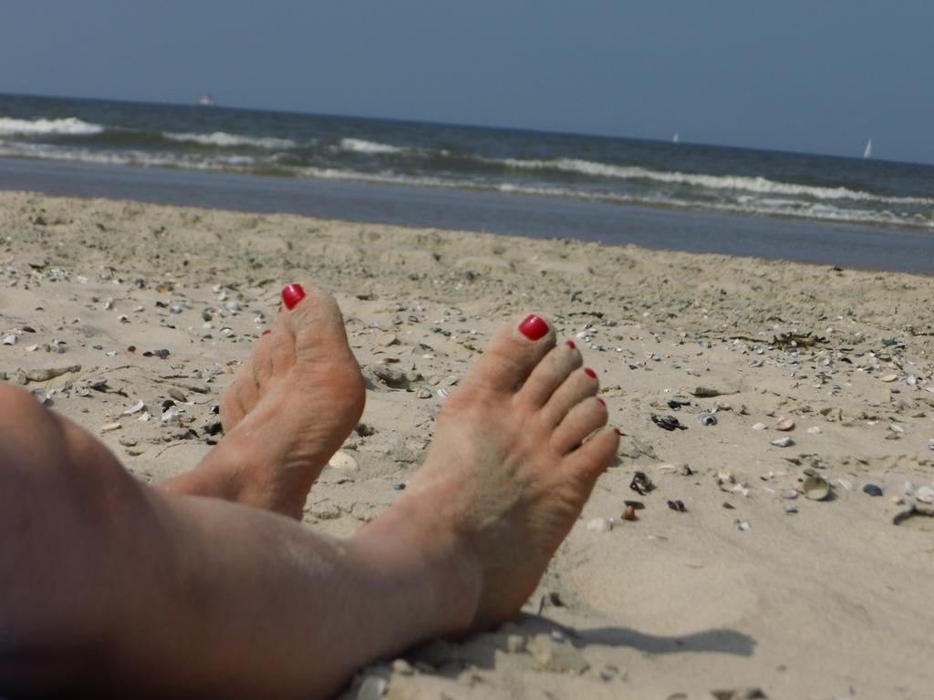 Strandhafer *