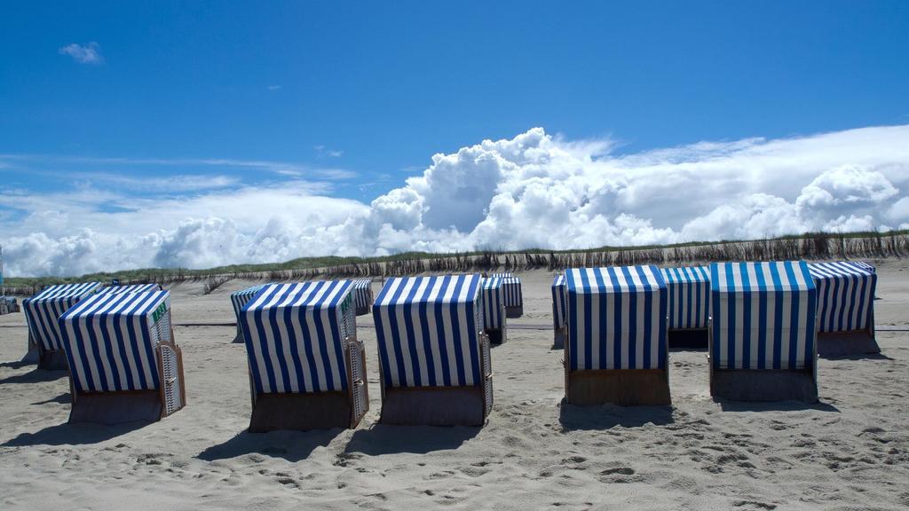 Strandhafer